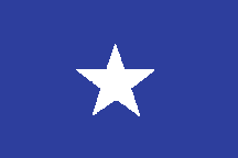 Bonnie Blue Flag